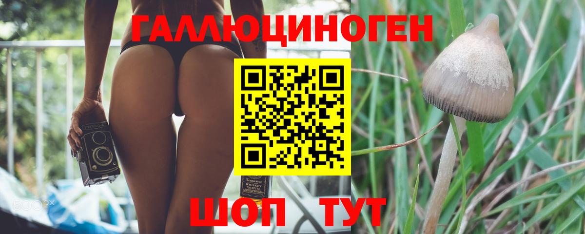 Галлюциногенные грибы ЛСД  Галлюциногенные грибы ЛСД  купить наркотики цена  Вход с VPN  Королёв 